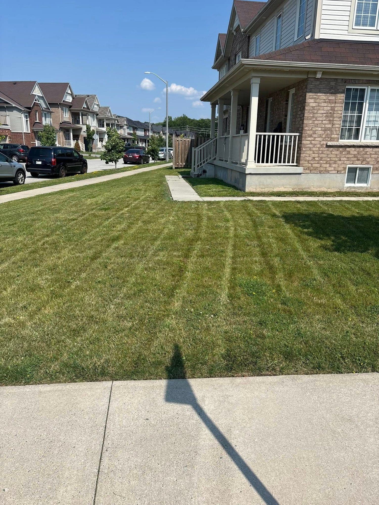 Front lawn with crisp mowing stripes