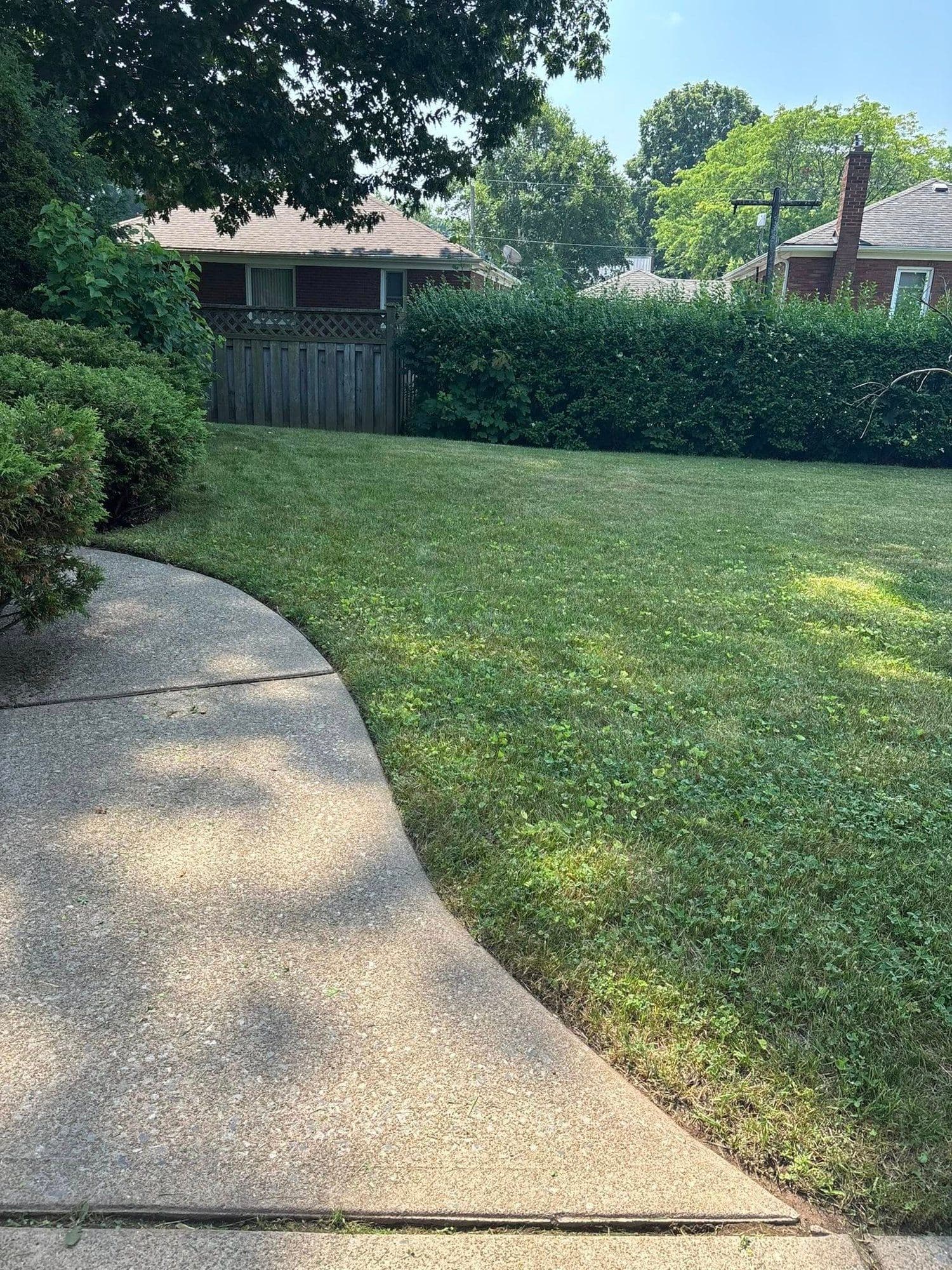 Manicured residential lawn next to a clean curved walkway