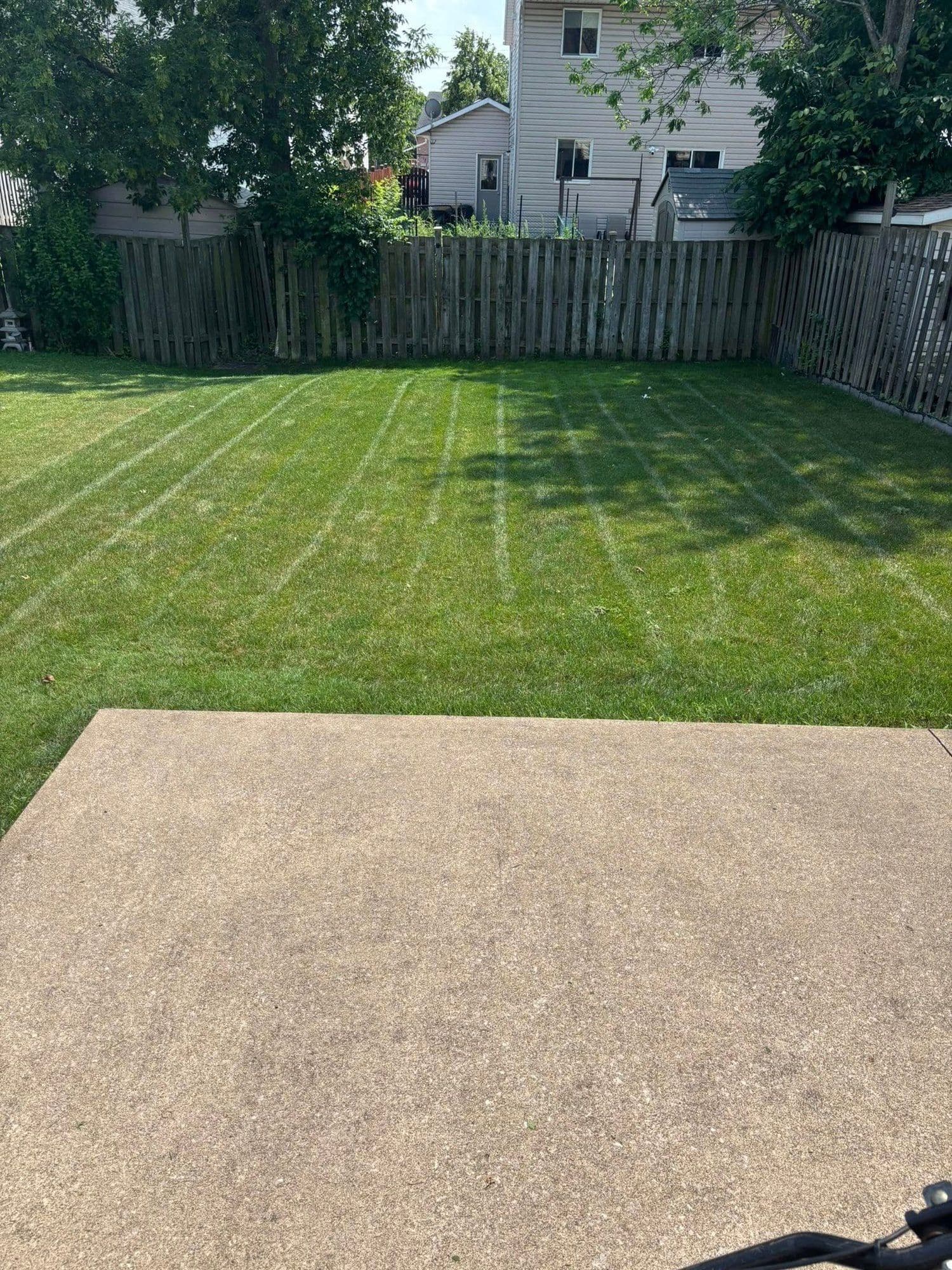 Backyard with directional mowing stripes