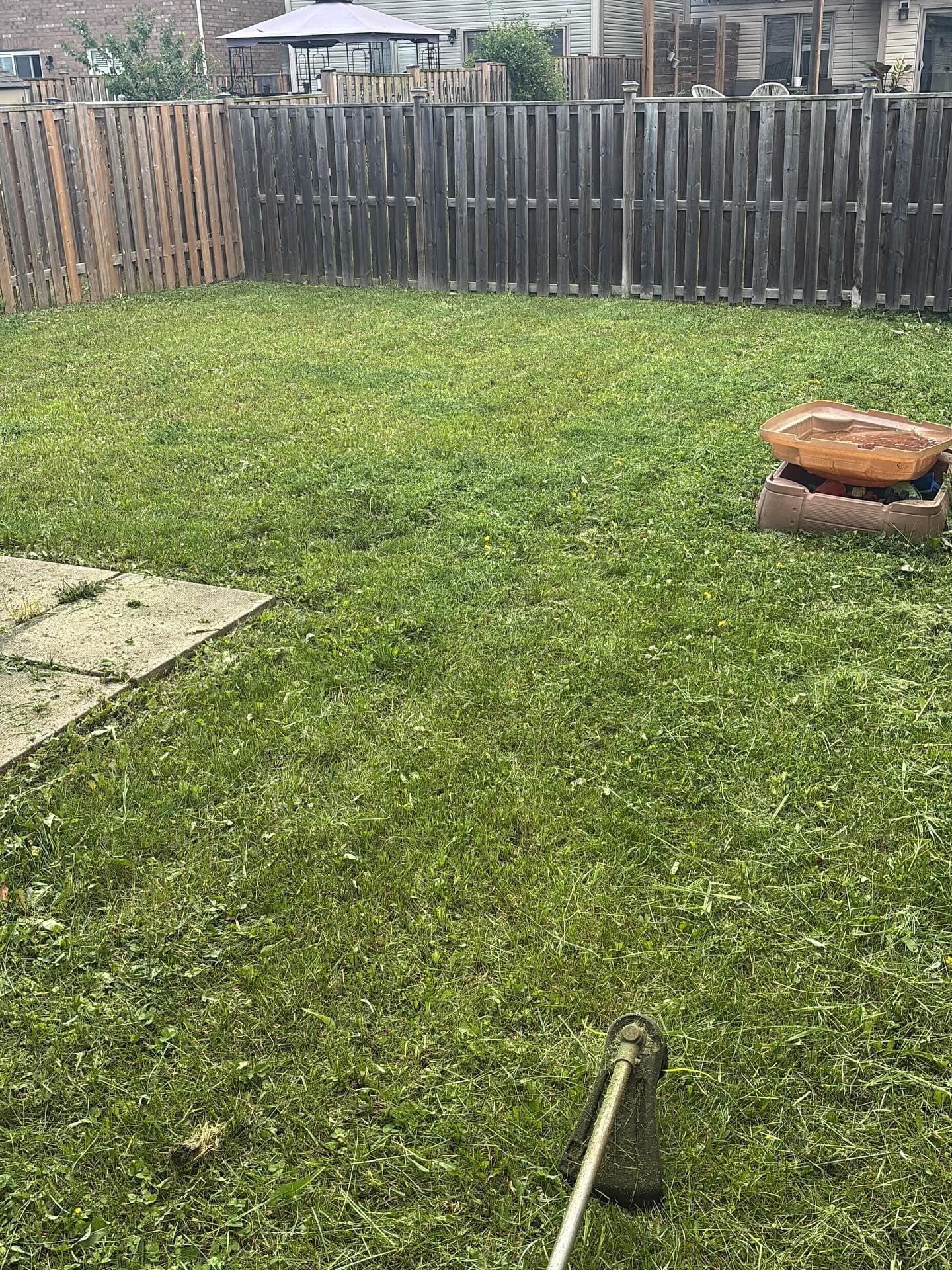 Same backyard after SJ Scapes: freshly cut, even, and clean