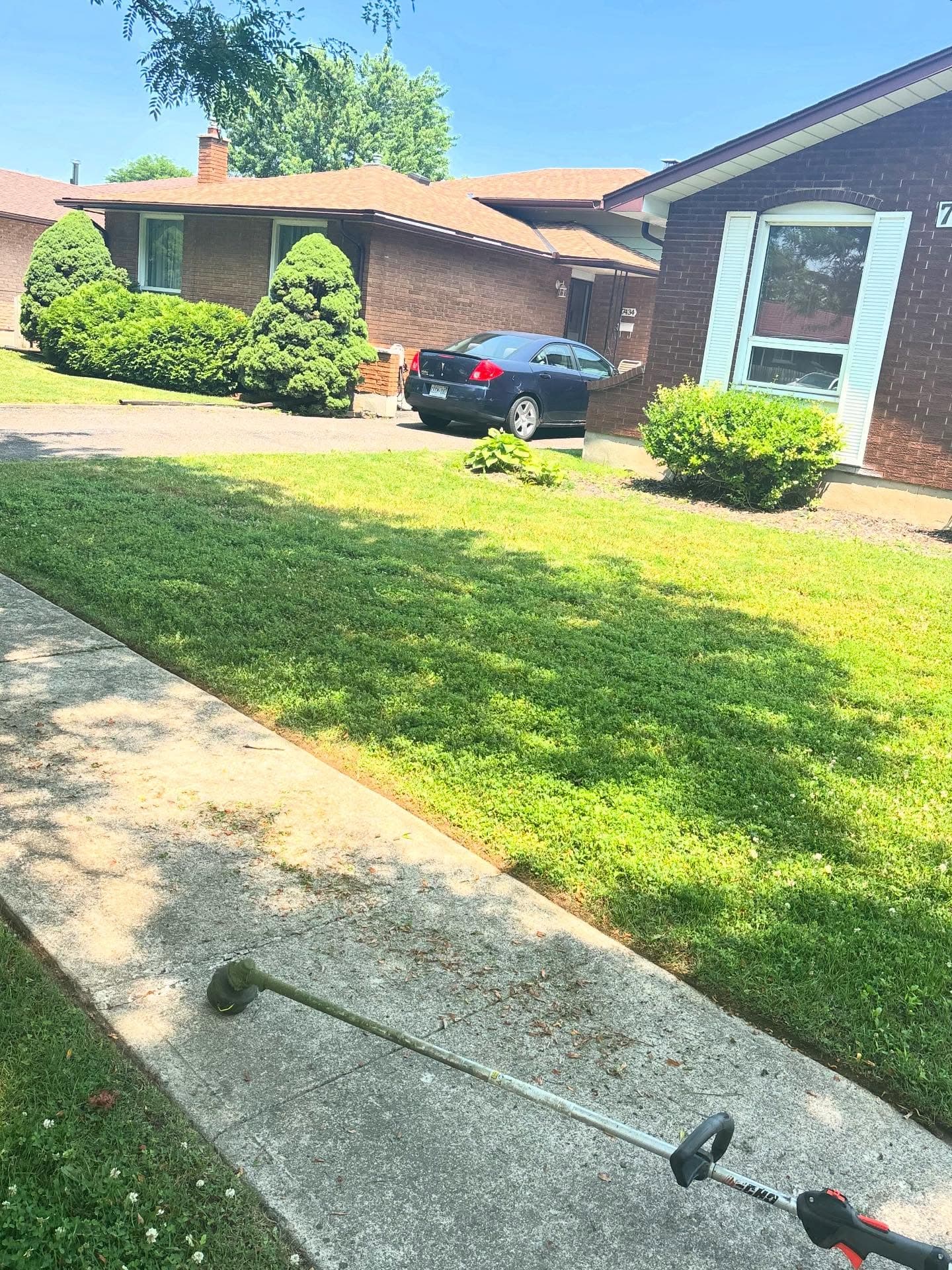 Front yard with clean edges along the driveway