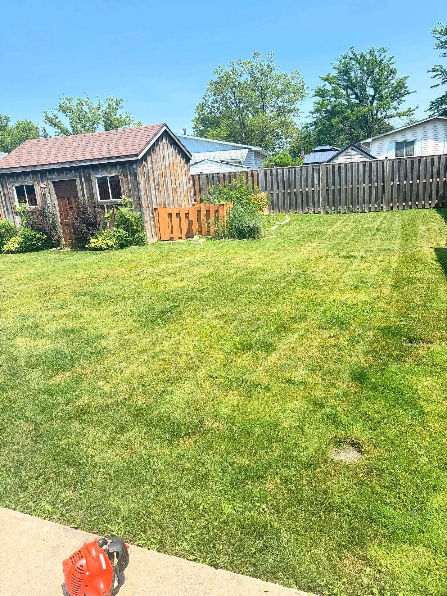 Backyard freshly trimmed alongside a wood shed