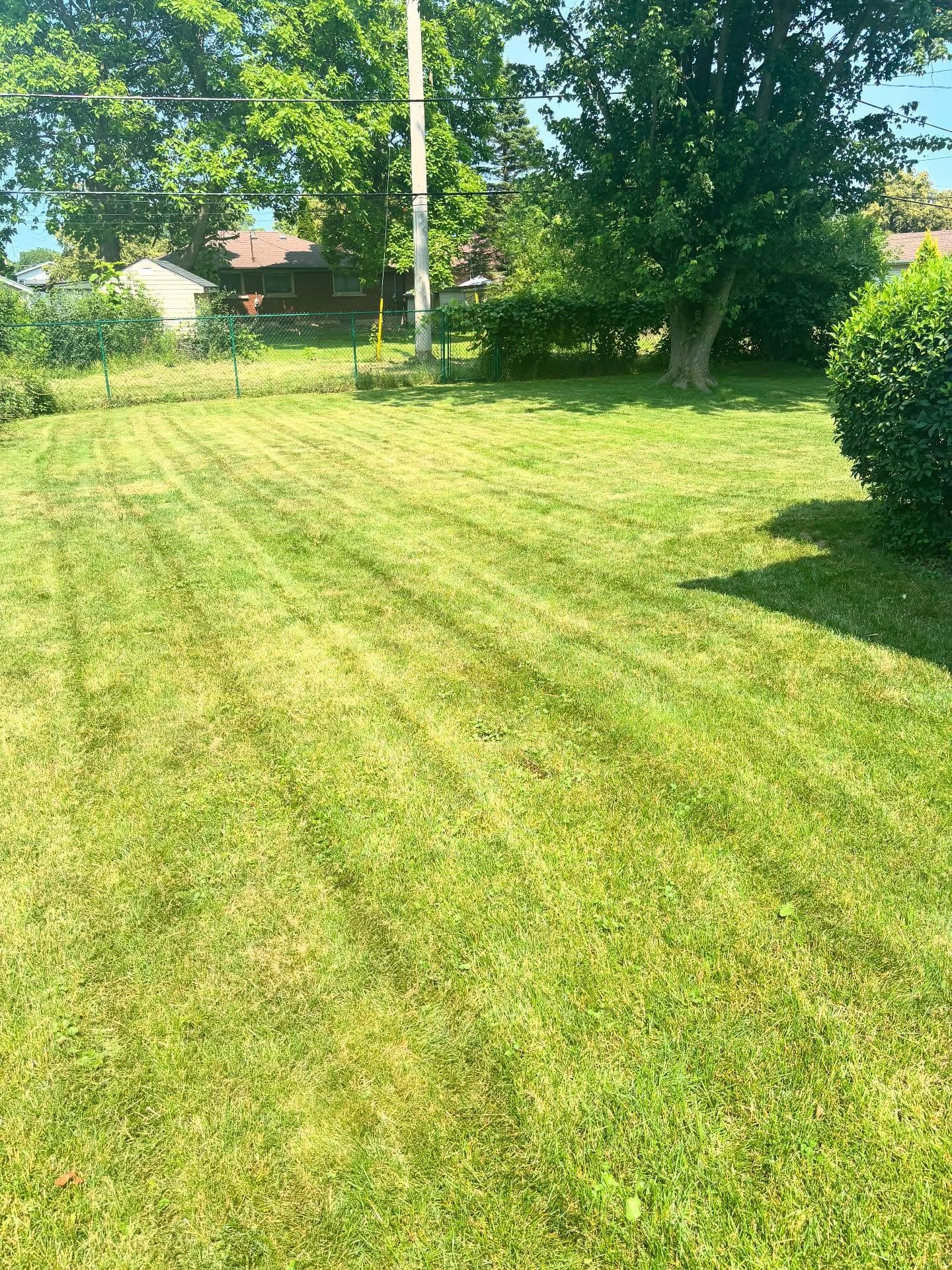 Wide-open backyard with even mowing pattern